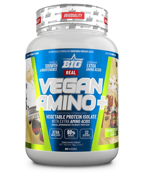 REAL VEGAN AMINO PLUS BIG