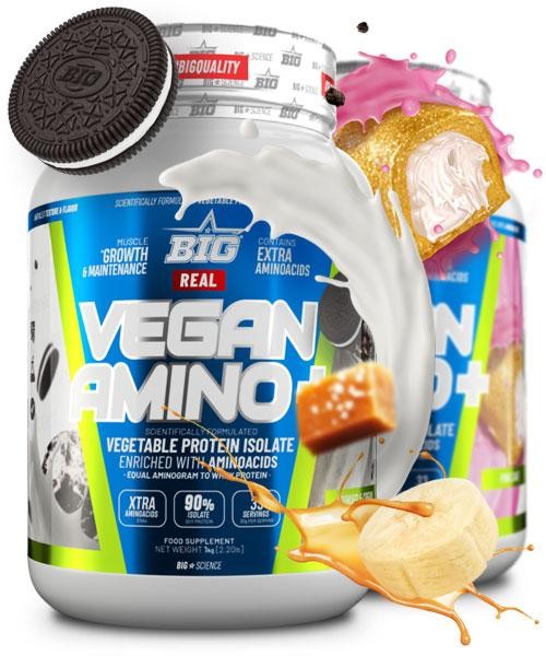 REAL VEGAN AMINO PLUS BIG
