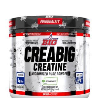 CREABIG ULTRA PURE CREATINA CREAPURE 250 GR