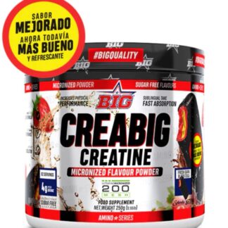 CREATINA BIG FRESH DARK BLOOD COLA 250GR 200 MESH