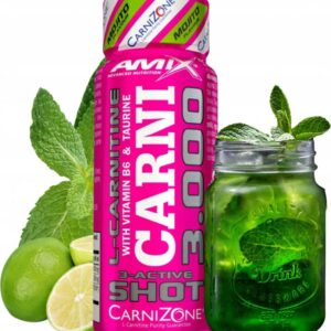 CARNI 3000 MOJITO AMIX 1 UNIDAD