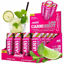 CARNI 3000 MOJITO AMIX CAJA 20X60ML