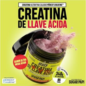 CREATINA DE LLAVE ACIDA 340gr BIG